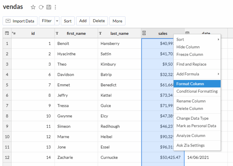 Formatação de coluna no Zoho Analytics